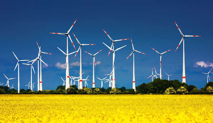 wind turbines in field of yellow flowers