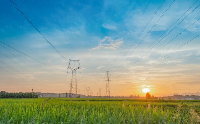 Transmission Lines Along Rice Paddy