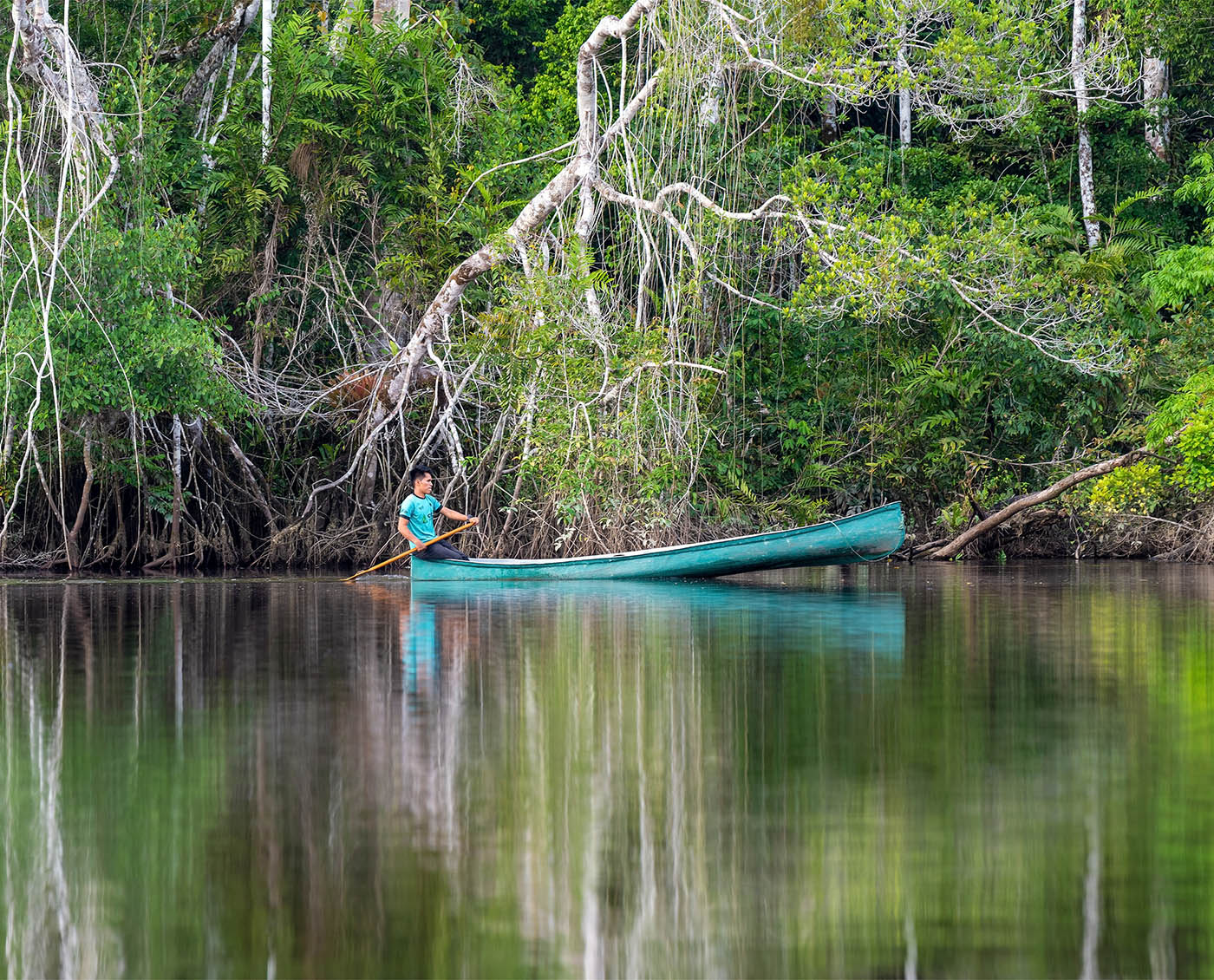 A man in a teal shirt paddles a teal-colored canoe alone. Behind him are green trees which are reflected in the still water.